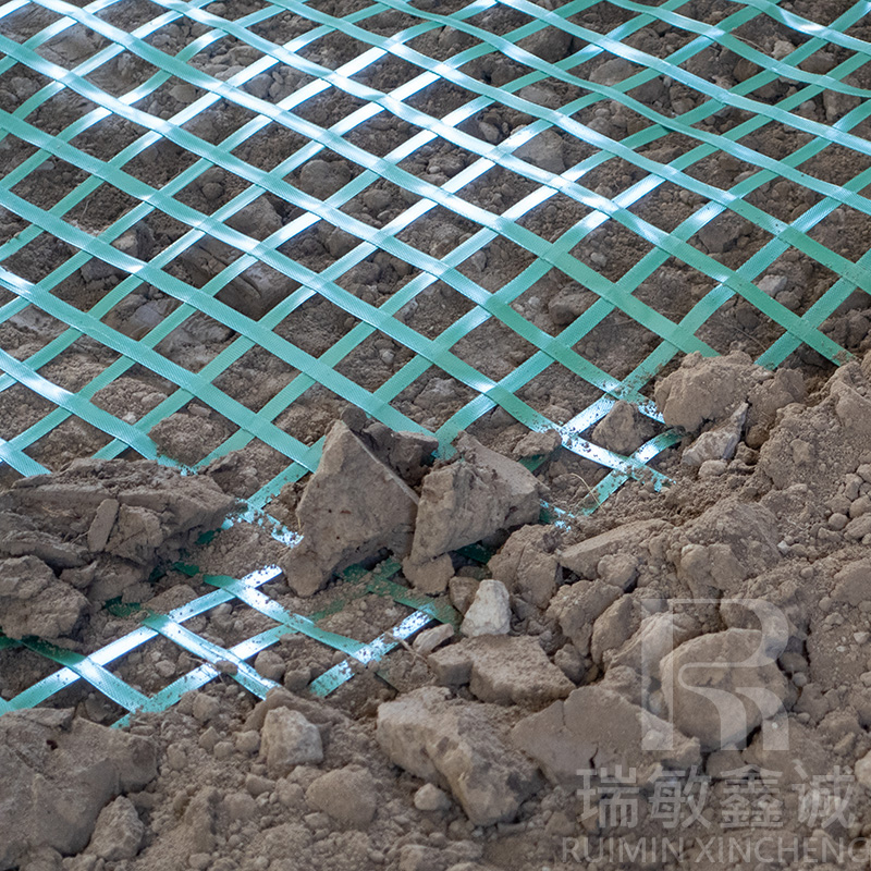 PET Geogrid