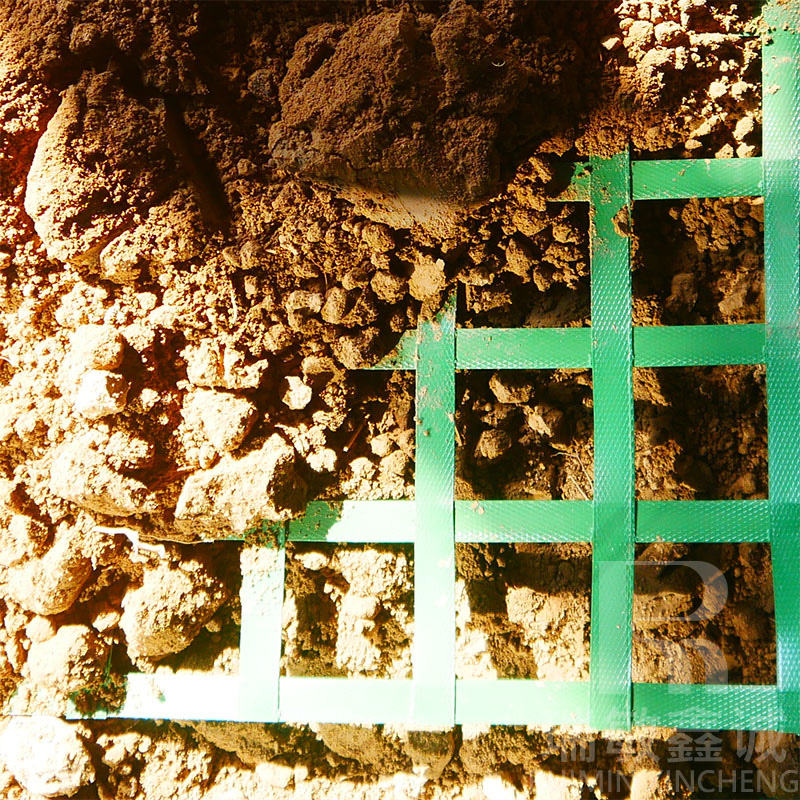 PET Geogrid