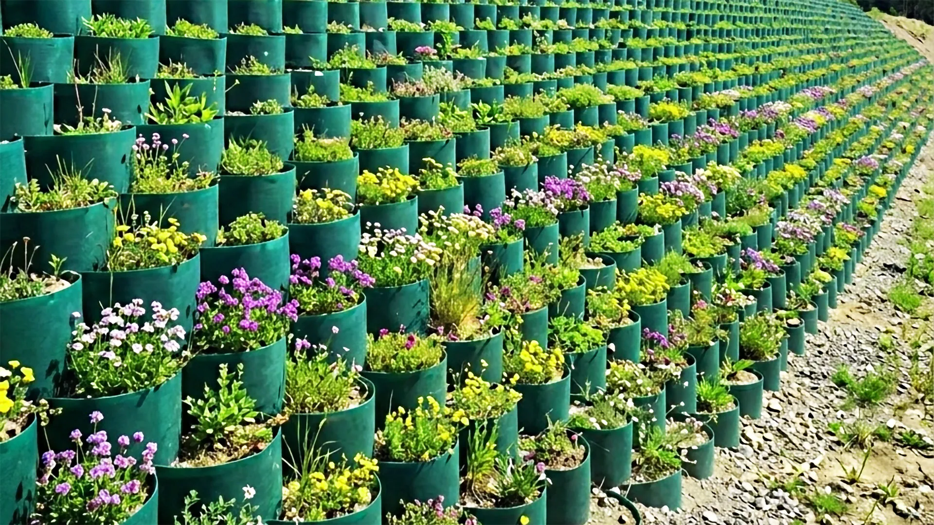 Hdpe Geocell Image 2