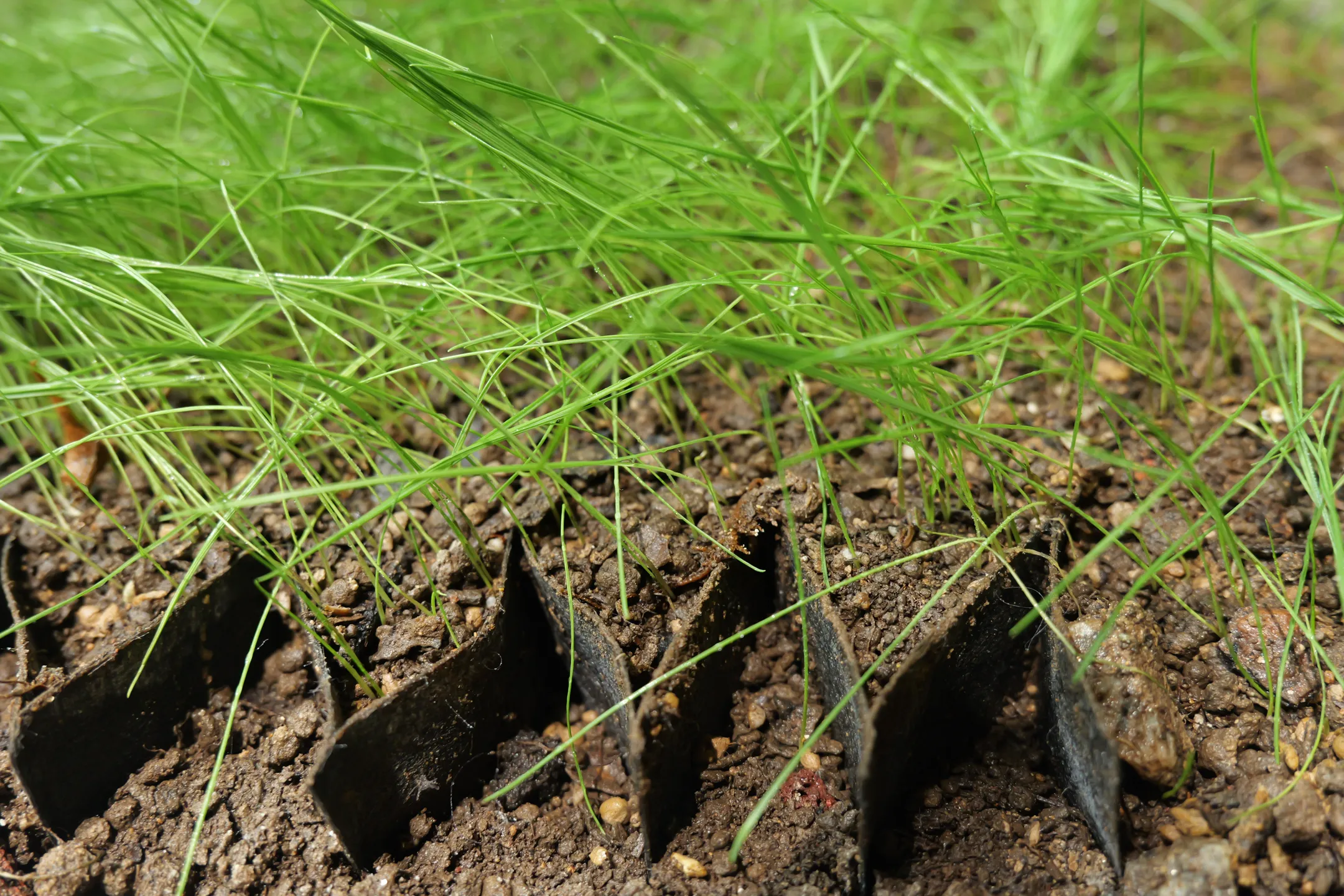 HDPE Geocell Image 1